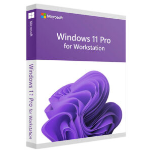 Imagen de Windows 11 PRO for WORKSTATIONS